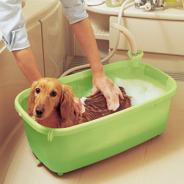 IRIS 寵物澡盆BO-800E 綠色/橙色可掛蓮蓬頭吹風機的浴盆 ♡犬貓大集合♥️