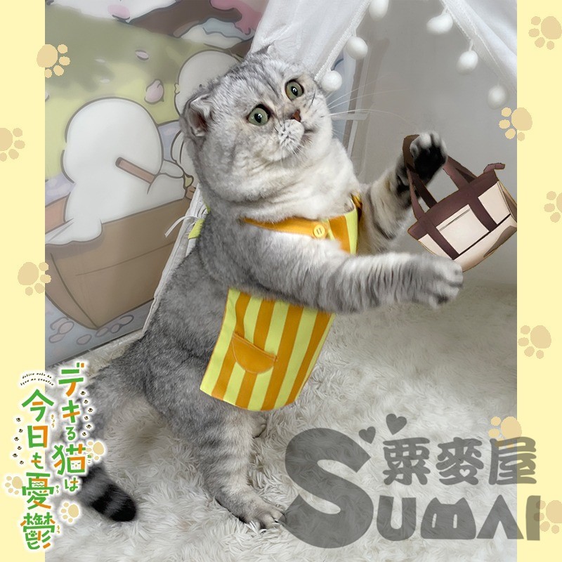 【MAIMAI SHOP♥】日韓精品=現貨 能幹貓今天也憂鬱 諭吉 貓咪 寵物 圍裙 狗 衣服 服裝 拍照