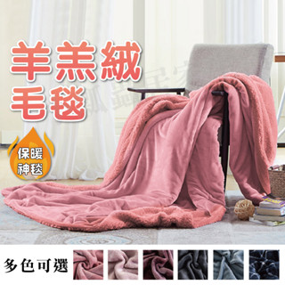 【快速出貨】230*200 加大 雙層暖暖毯 法蘭絨 羊羔絨 超柔 超軟 暖暖被 外貿 純色 雙面 毛毯 空調毯