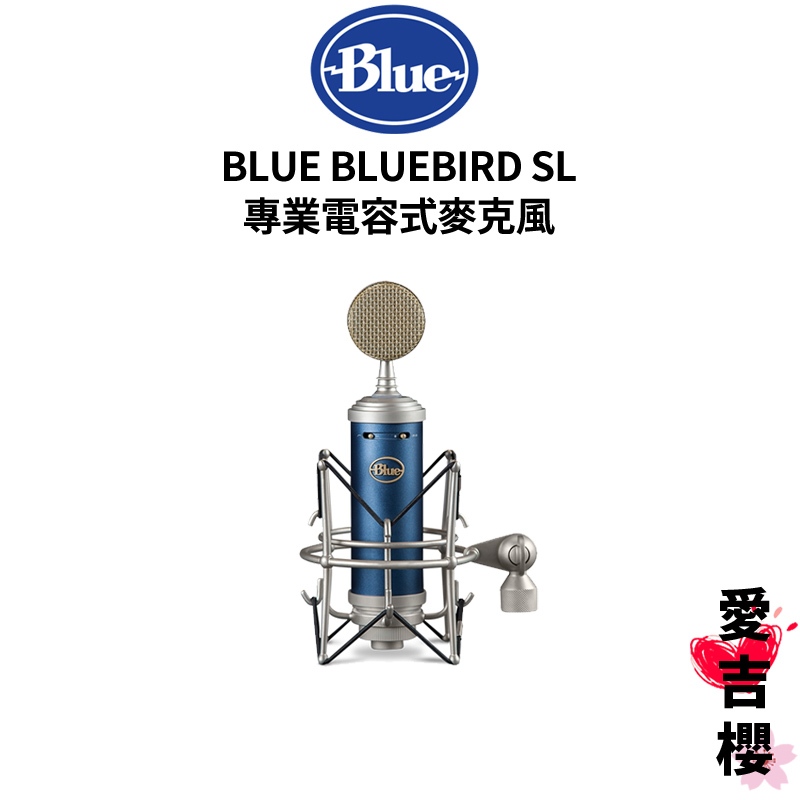 【Blue】Bluebird SL XLR 專業電容式麥克風 (公司貨) #錄音室專業 #唱歌演奏推薦