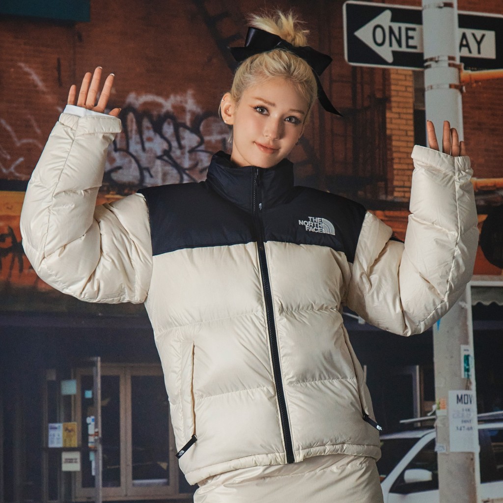 The north face novelty nuptse cheap