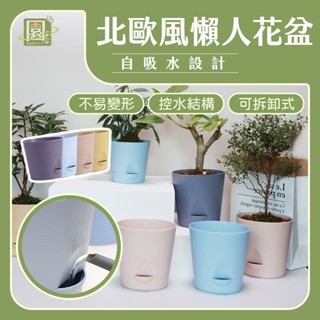 【園宇宙🌿臺灣現貨】懶人花盆 花盆 水培花盆 大號 水耕盆栽 懶人盆栽 水培 多肉花盆 園藝 小花盆 自吸水設計 北歐風