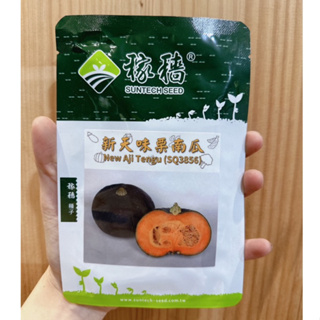 城禾農產🍃 稼穡新天味栗子南瓜種子 2粒 新天味栗南瓜種子 栗子南瓜種子 栗南瓜種子 稼穡栗子南瓜種子 新天味栗南瓜種子