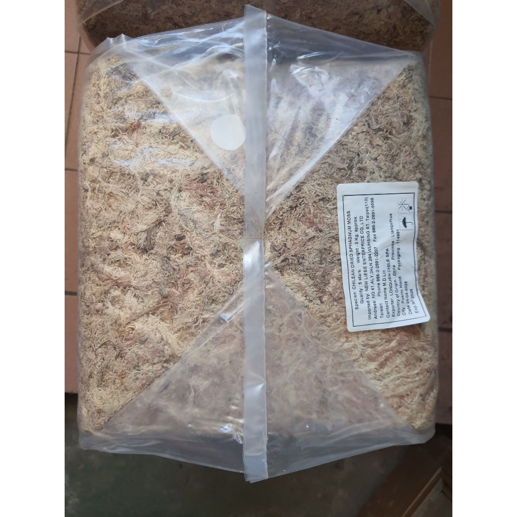 智利“特級水苔”  3kg / 1kg 保濕用