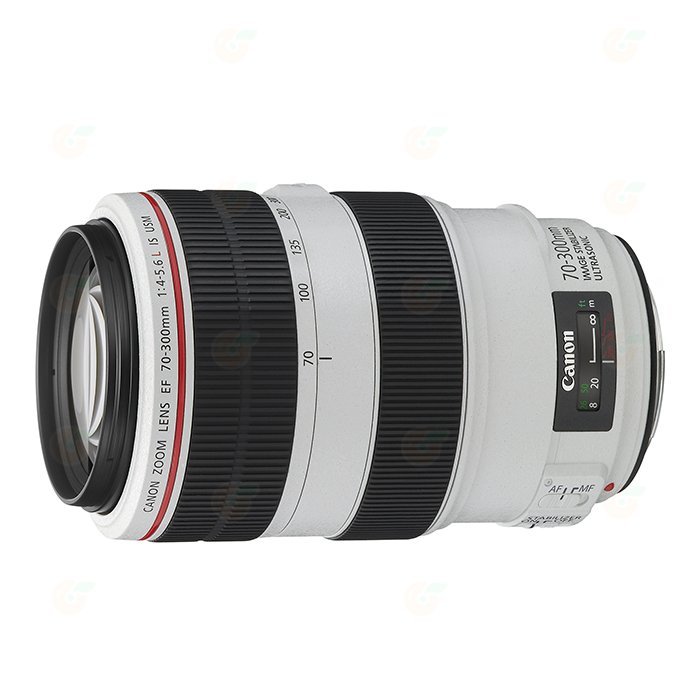 【出租】Canon EF 70-300mm F4-5.6 L IS USM 變焦 望遠 鏡頭 演唱會 球賽 廟會 胖白