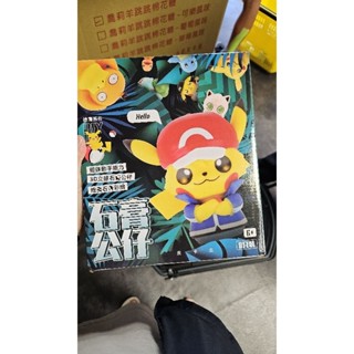 （售）寶可夢 神奇寶貝 石膏公仔 DIY diy。