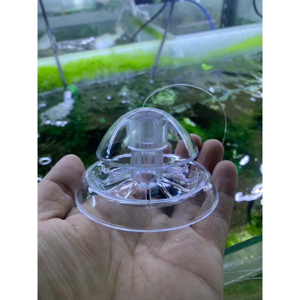 【無限】蝸牛捕手 鍋牛捕捉 水族館蝸牛陷阱植物渦蟲害蟲捕捉盒水族館魚缸蝸牛去除裝置