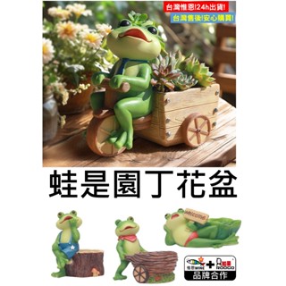 WINE台灣惟恩 微景觀 蛙是園丁花盆 仿真青蛙 青蛙 蛙 多肉 花盆 盆栽