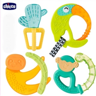 chicco冰凍固齒器玩具-猴子/樹懶/大嘴鳥/仙人掌