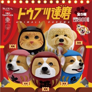 『開闢工作室』 連環泡有芒果 當我們ㄍㄡˇ再一起 酒大多壯鵝 達磨公仔 柯基 轉蛋 扭蛋 全5種