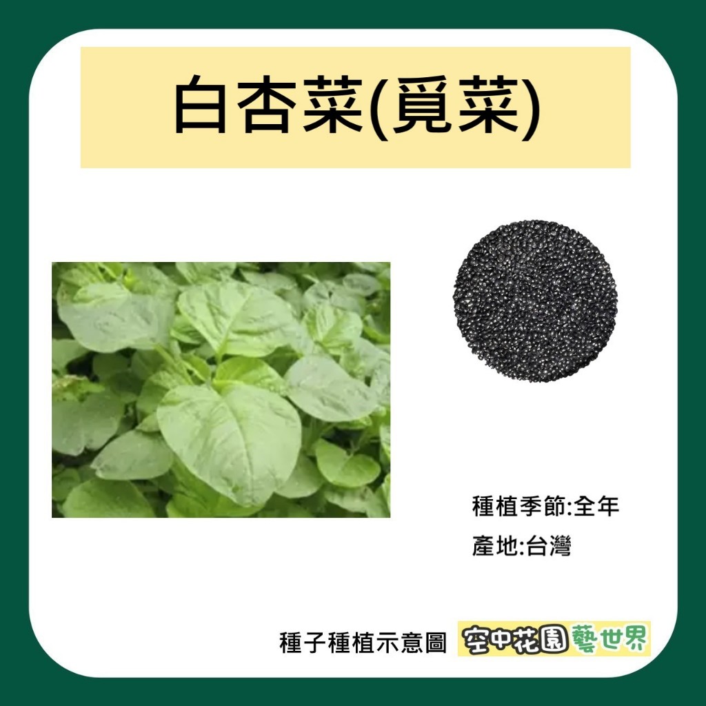 【台灣出貨 電子發票】白杏菜種子 10g(約12000顆) 開心農場 種菜 莧菜 田園 農夫 菜籽 空中花園藝世界