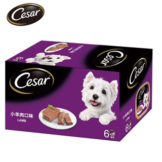 【Cesar西莎】精緻餐盒 羊肉 (100g*6/盒) 多口味 寵物 狗罐頭/濕糧