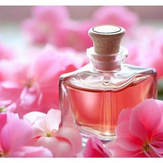 ABP 玫瑰天竺葵 精油 Rose Geranium Essential Oil 薰香 手工皂材料