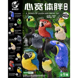 【MOVE】 (現貨) 動物星球 心寬體胖系列 第十八彈 鸚鵡 vol.1 鸚鵡 飛禽 模型 公仔 盒玩 盲盒 手辦
