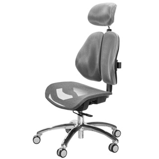 GXG 高雙背網座 工學椅 (鋁腳/無扶手) TW-2806 LUANH