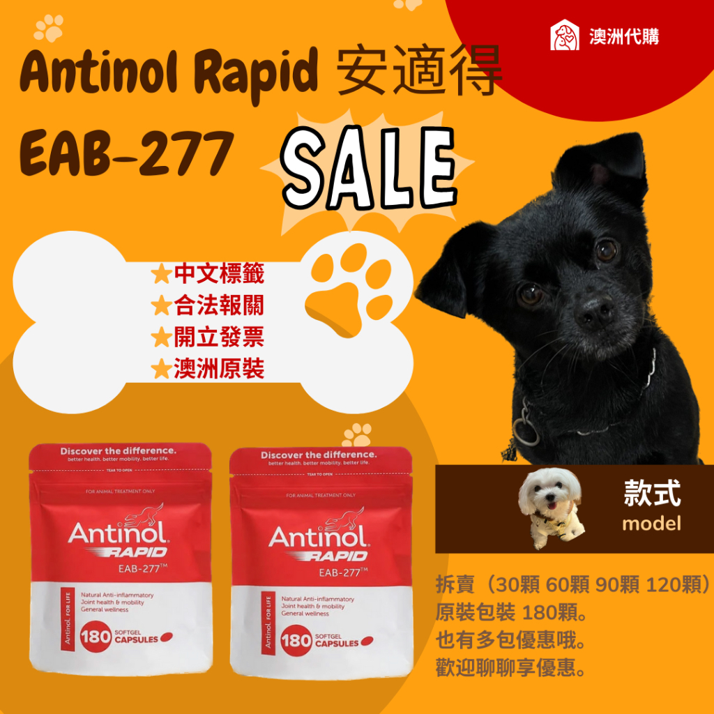 💖現貨 合法申報🐶💖 安適得 Antinol Rapid EAB-277 180顆 關節保健 澳洲原裝（犬貓皆可）