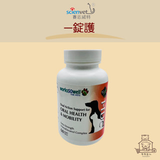 【動物醫院直送】免運隔日配 scienvet 賽恩威特 一錠護 犬貓 寵物 口腔保健 口炎 口臭 牙周 原廠授權 防偽標