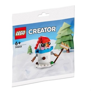 【超萌行銷】現貨 LEGO 30645 樂高 CREATOR 創意系列 雪人