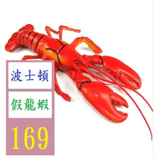 【三峽貓爸的店】模擬龍蝦 螃蟹模型 大龍蝦玩具 模擬塑膠動物 模擬龍蝦海鮮螃蟹 假波士頓龍蝦模型道具