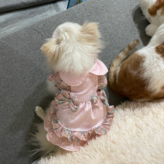 *吉花花* 狗狗衣服 寵物衣服 狗衣服 狗裙子 寵物公主風 狗公主裙 狗蘿莉 狗衣服 寵物衣服 寵物保暖 小型犬衣服