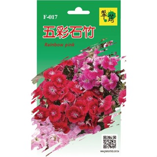 【翠筠官方直營】花卉種子D 五彩石竹/金魚草/黃波斯 種子 種籽 種苗 苗 菜園 菜圃 園藝 花卉 瓜果 香草 葉菜