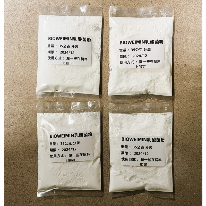 芽孢乳酸菌粉 枯木芽孢桿菌 寵物用益生菌 35公克 幫助消化 保護消化道 改善體質 改善下痢 綠便 水便