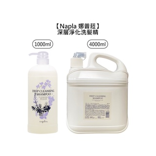 Napla 娜普菈 深層淨化洗髮精 1000ml 4000ml 洗髮精 髮浴 涼感 保濕 頭皮 異味 日本【堤緹美妍】