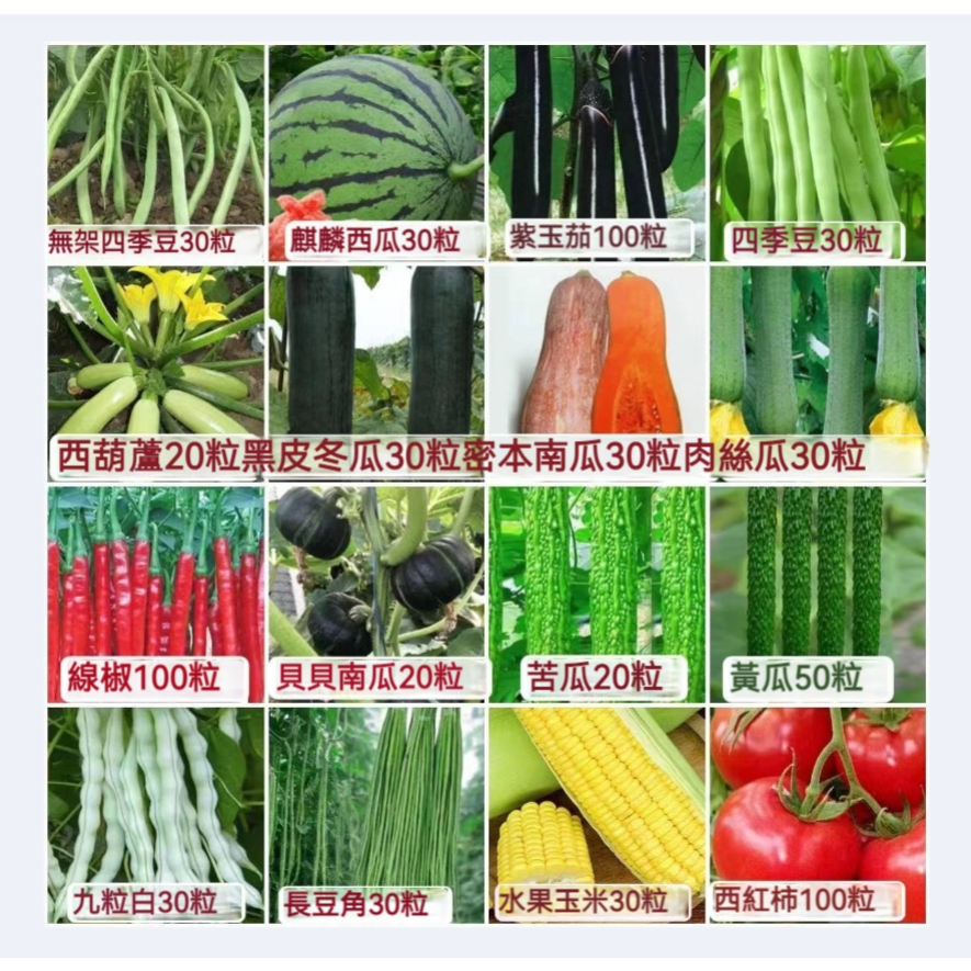 16種春季蔬菜種子高産黃瓜豆角四季豆西瓜辣椒農家大田盆栽散種子