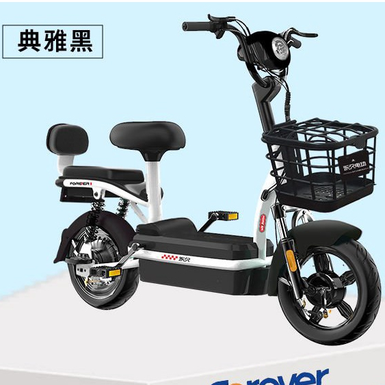 48V電動自行車 成人小型男女電車 兩輪代步車 折疊自行車 折疊電動車 電動腳踏車