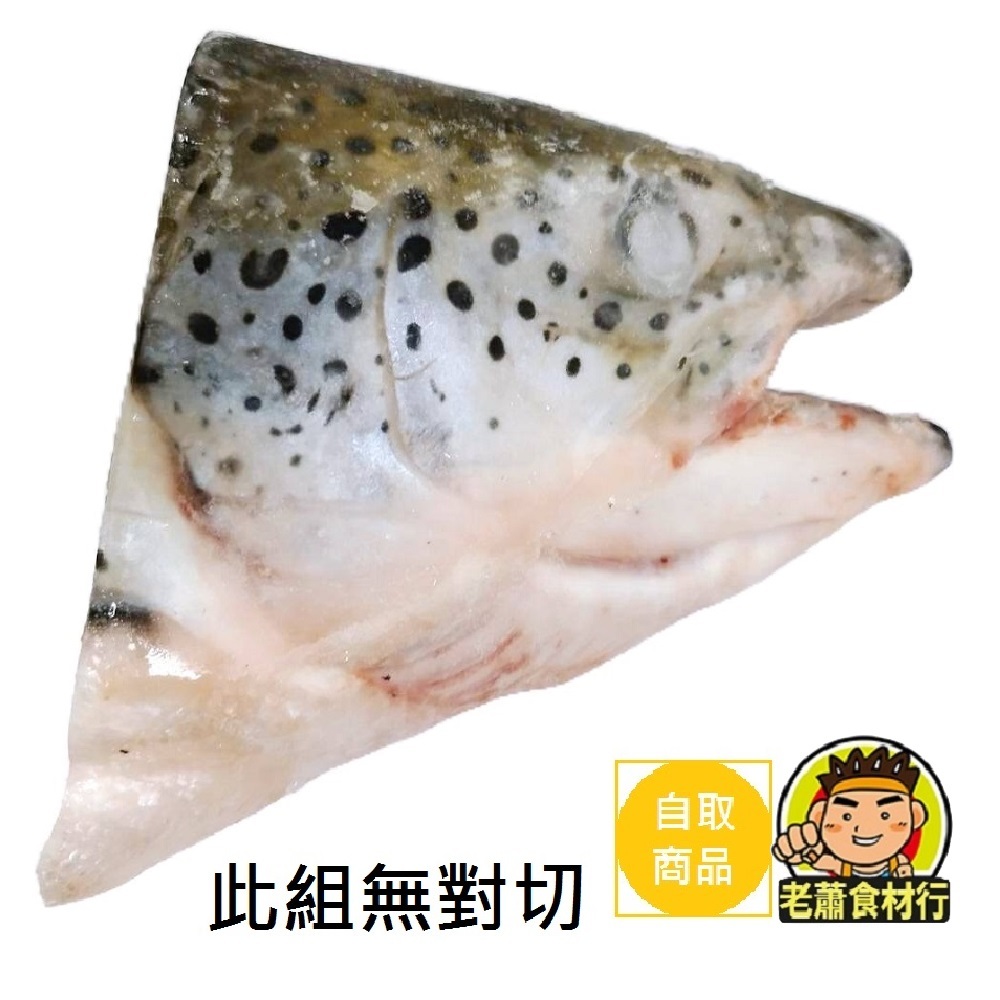 【老蕭食材行】鮭魚頭 ( 未剖半品號 ) 1包1顆魚頭 有大小顆可選 生鮭魚 魚頭 海鮮 → 首推熬湯