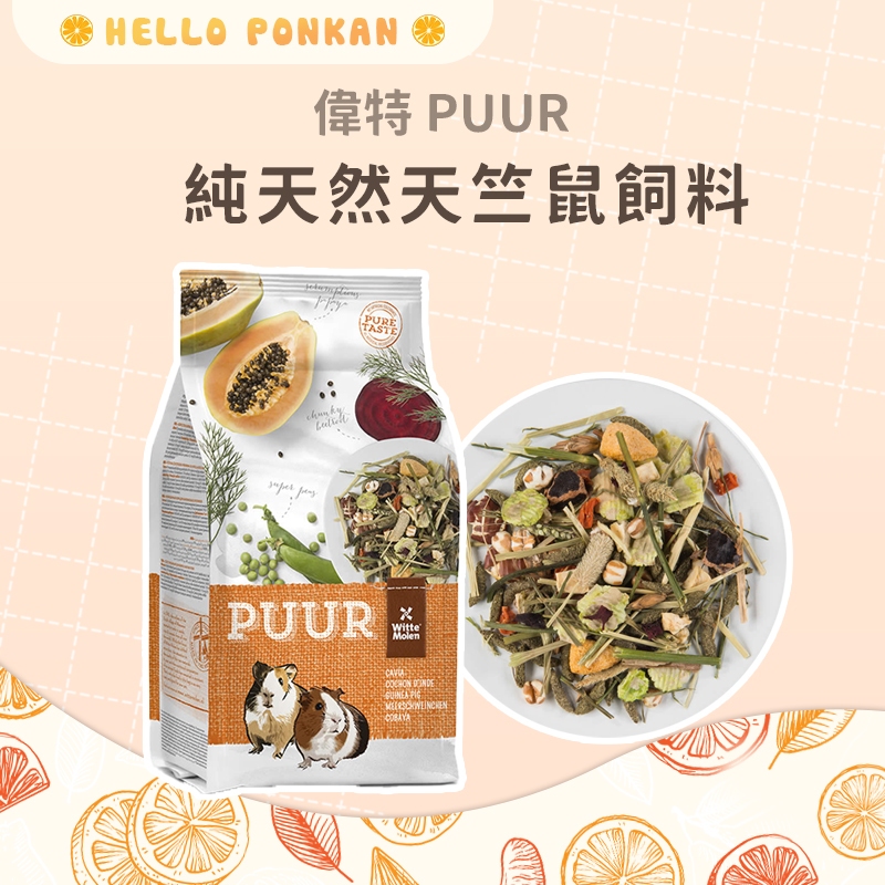 柑仔牧場探險🍊｜ 偉特 PUUR 純天然天竺鼠飼料 天竺鼠飼料 天竺鼠主食 天竺鼠糧