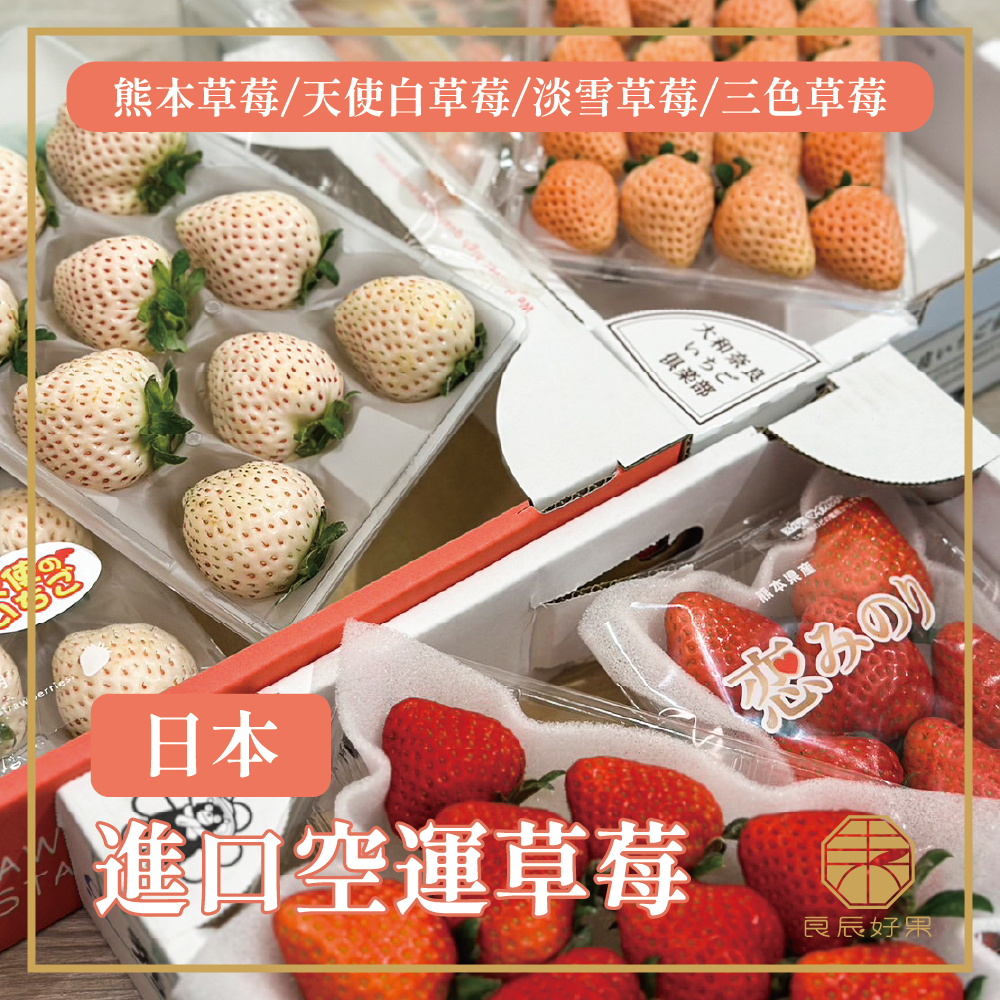 "良辰好果" 各式進口草莓 草莓 熊本草莓 淡雪草莓 古都華草莓 奈良三色草莓 日本草莓