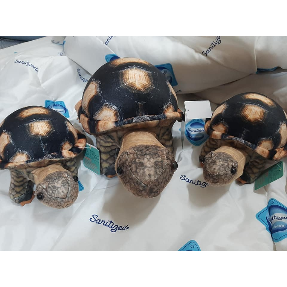 大烏龜娃娃 烏龜娃娃海龜娃娃 陸龜 海龜玩偶烏龜 海生館 逼真海龜娃娃 海洋生物娃娃 教育 收藏抱枕 療癒小動物