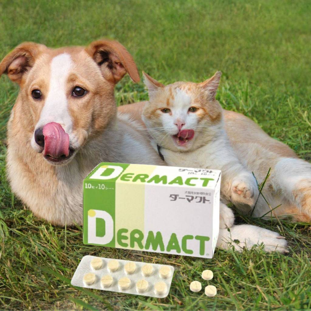 日本全藥 DERMACT 膚錠 犬貓用 公司貨