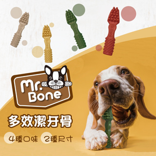 ☘️限時特價拚評價 - 當天出貨☘️ Mr.Bone多效潔牙骨(單支) 360度 犬用 小型犬 大型犬 零食