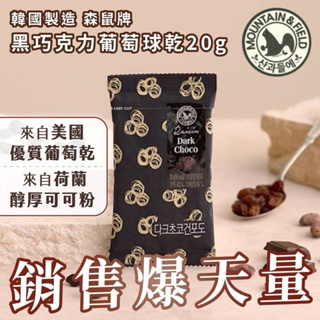 🌈彩虹屋❤️韓國製造 森鼠牌 黑巧克力葡萄球乾 黑巧克力 葡萄球乾 20g