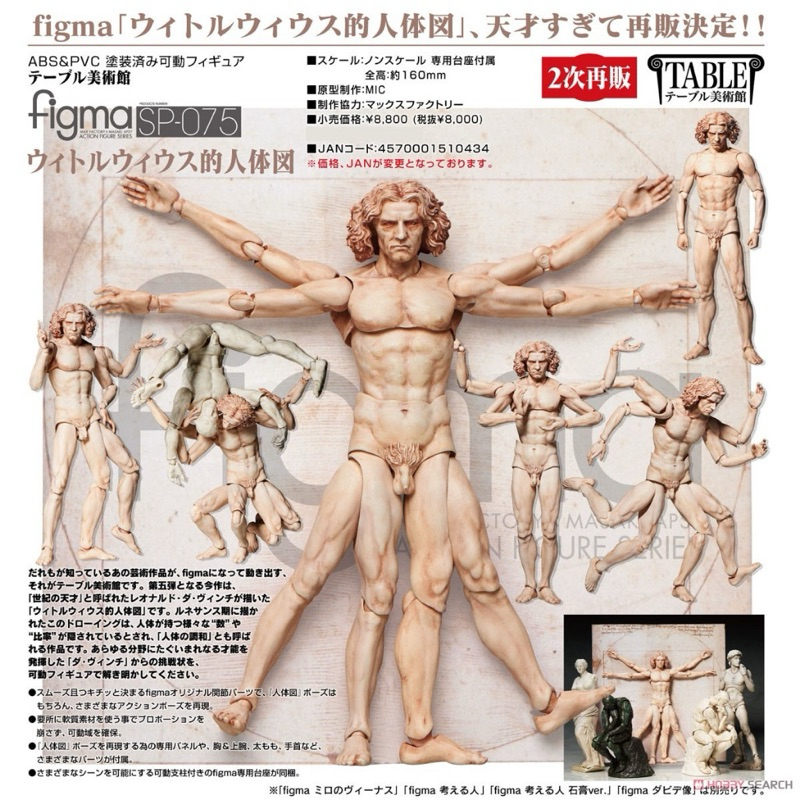 正版｜全新｜現貨｜好微笑 figma SP-075 桌上美術館 維特魯威人 達文西 再販