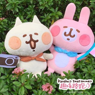 全新玩偶🩷 Kanahei 卡娜赫拉 路跑 兔兔 大玩偶 兔兔P助 抱枕 趣味路跑 填充玩具