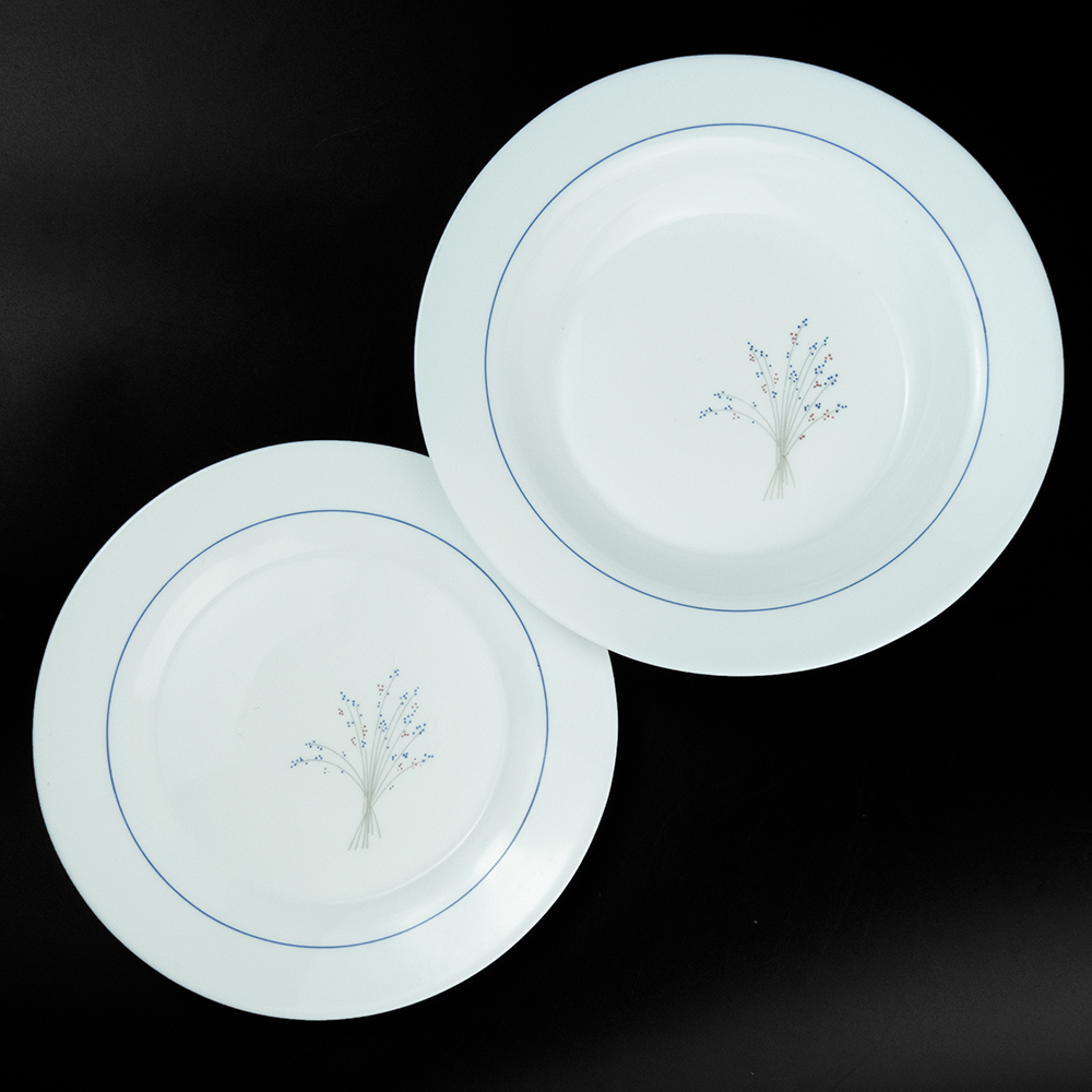 歐洲進口 Harmonia 強化玻璃 餐盤 湯盤 2件一組