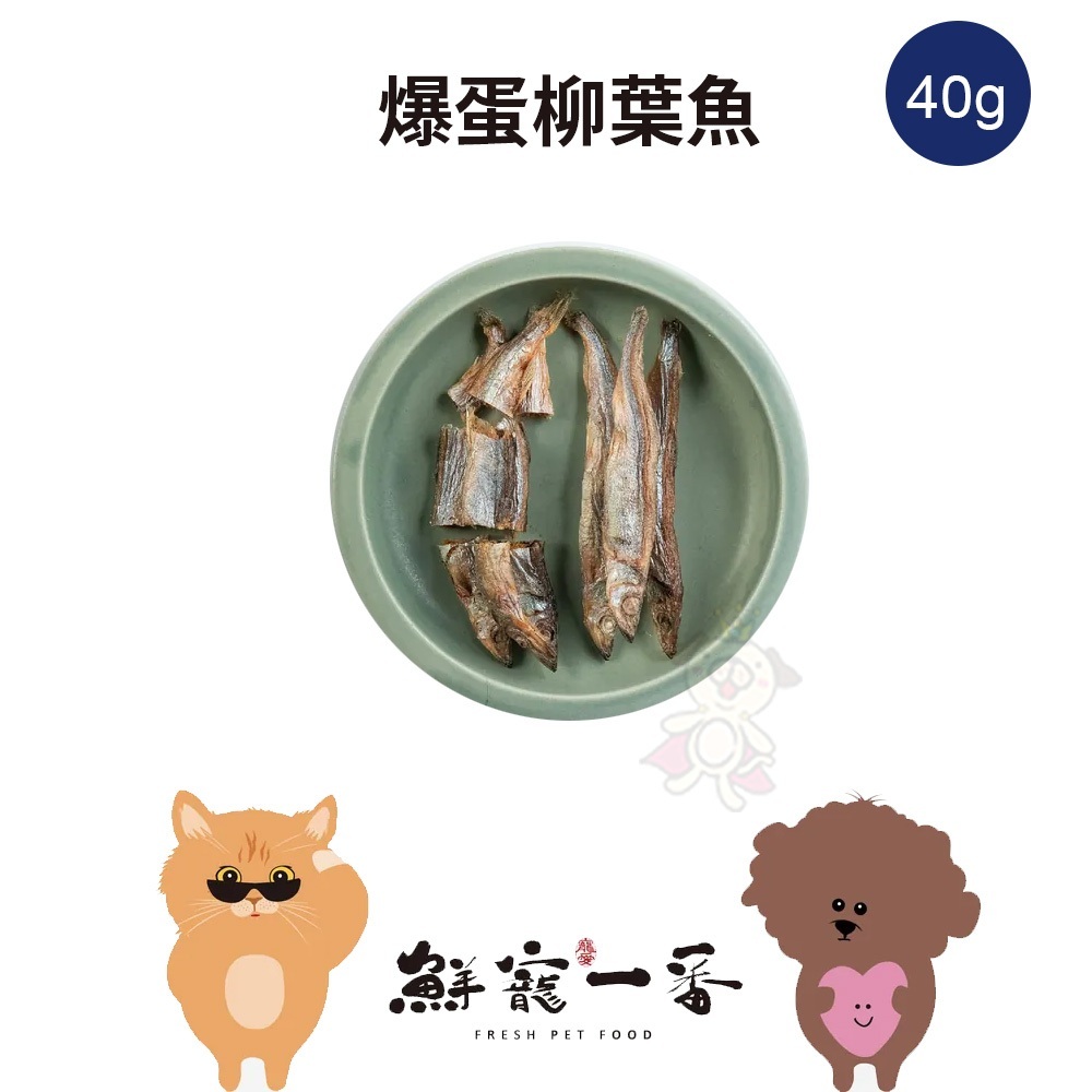 鮮寵一番 爆蛋柳葉魚 單包/40g 柳葉魚 狗零食 貓零食 寵物零食 寵物食品 寵物飼料 犬貓零食『Q寶批發』