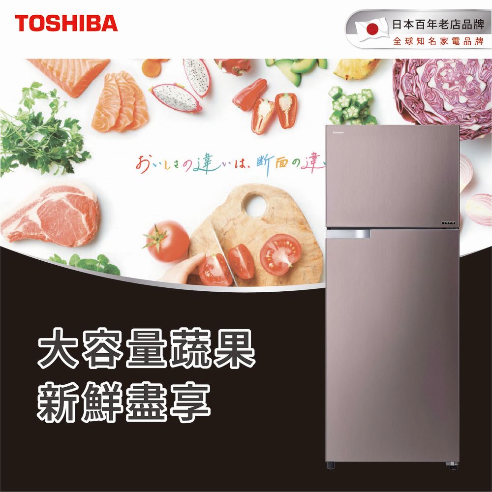 【TOSHIBA 東芝】510公升雙門變頻冰箱典雅金 GR-A55TBZ(N)(含基本安裝+舊機回收)