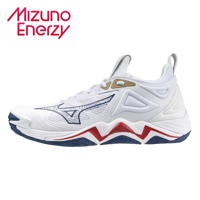 MIZUNO MOMENTUN 男排球鞋 室內運動鞋 運動 排球 V1GB241346 24SSO