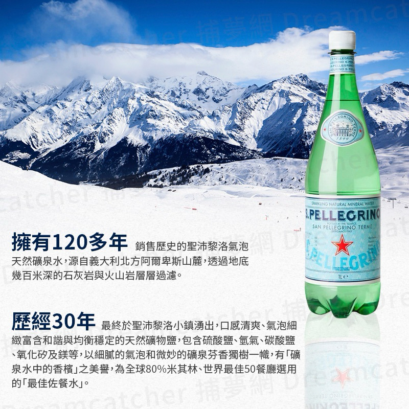 【好事多】S.PELLEGRINO 聖沛黎洛氣泡水 義大利 氣泡水 聖沛 SP（滿99享運費折扣）效期2024/09