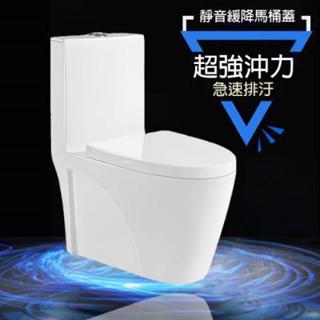 C-510單體馬桶 水龍捲抗汙單體馬桶