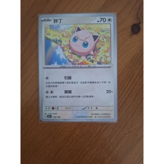 PTCG中文版 胖可丁ex RR卡+胖丁 普卡