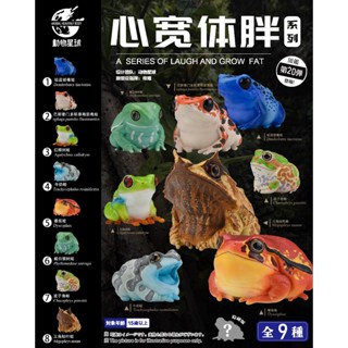 【MOVE】 (現貨) 動物星球 心寬體胖系列 第二十彈 青蛙 vol.2 青蛙 箭毒蛙 枯葉蛙 動物 公仔 盒玩 GK