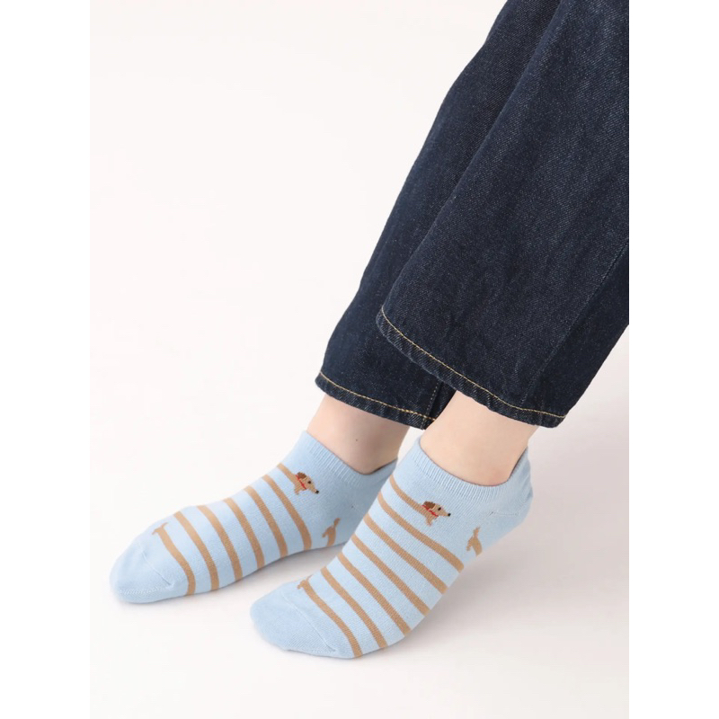 日本🇯🇵現貨 靴下屋 2024 動物可愛 條紋 運動風短襪（運動鞋適合）