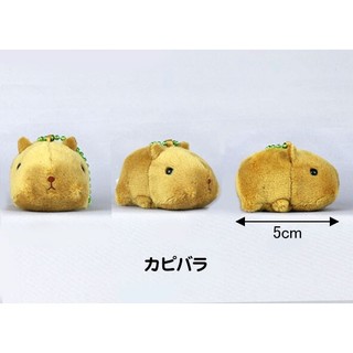 現貨 日本 amuse 水豚 吊飾 玩偶