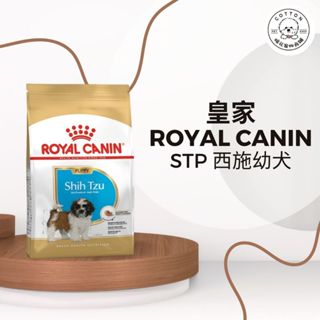 棉花寵物❤️皇家一般 STP 西施幼犬 1.5公斤