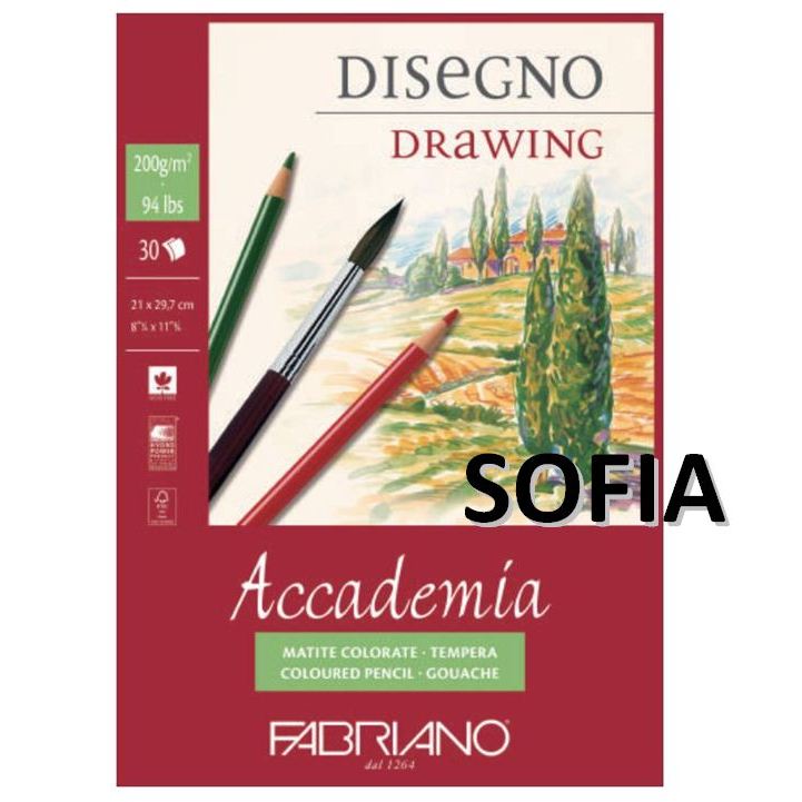 ◆SOFIAの樂園◆ 義大利 FABRIANO Accademia 紅皮 空白 素描本 200g (A4) 膠裝 上掀式